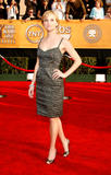 http://img43.imagevenue.com/loc224/th_30484_Reese_Witherspoonr__13th_Annual_Screen_Actors_Guild_Awards_1_122_224lo.jpg
