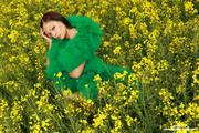 Aria Giovanni - Yellow Field of Flowers -t11li4q12y.jpg